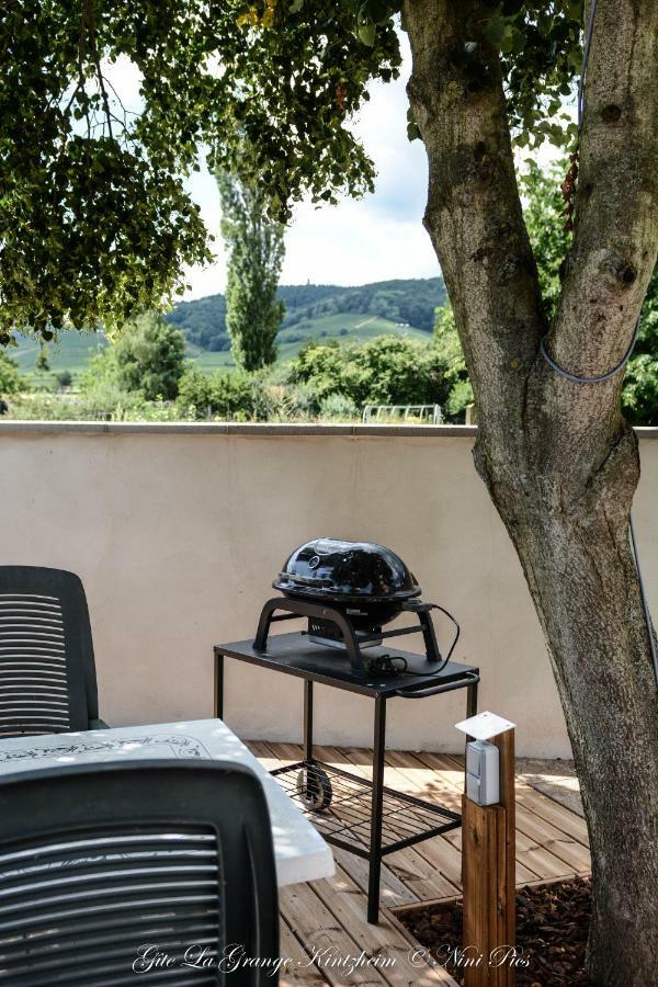 Gîte Spa La grange Kintzheim Extérieur photo